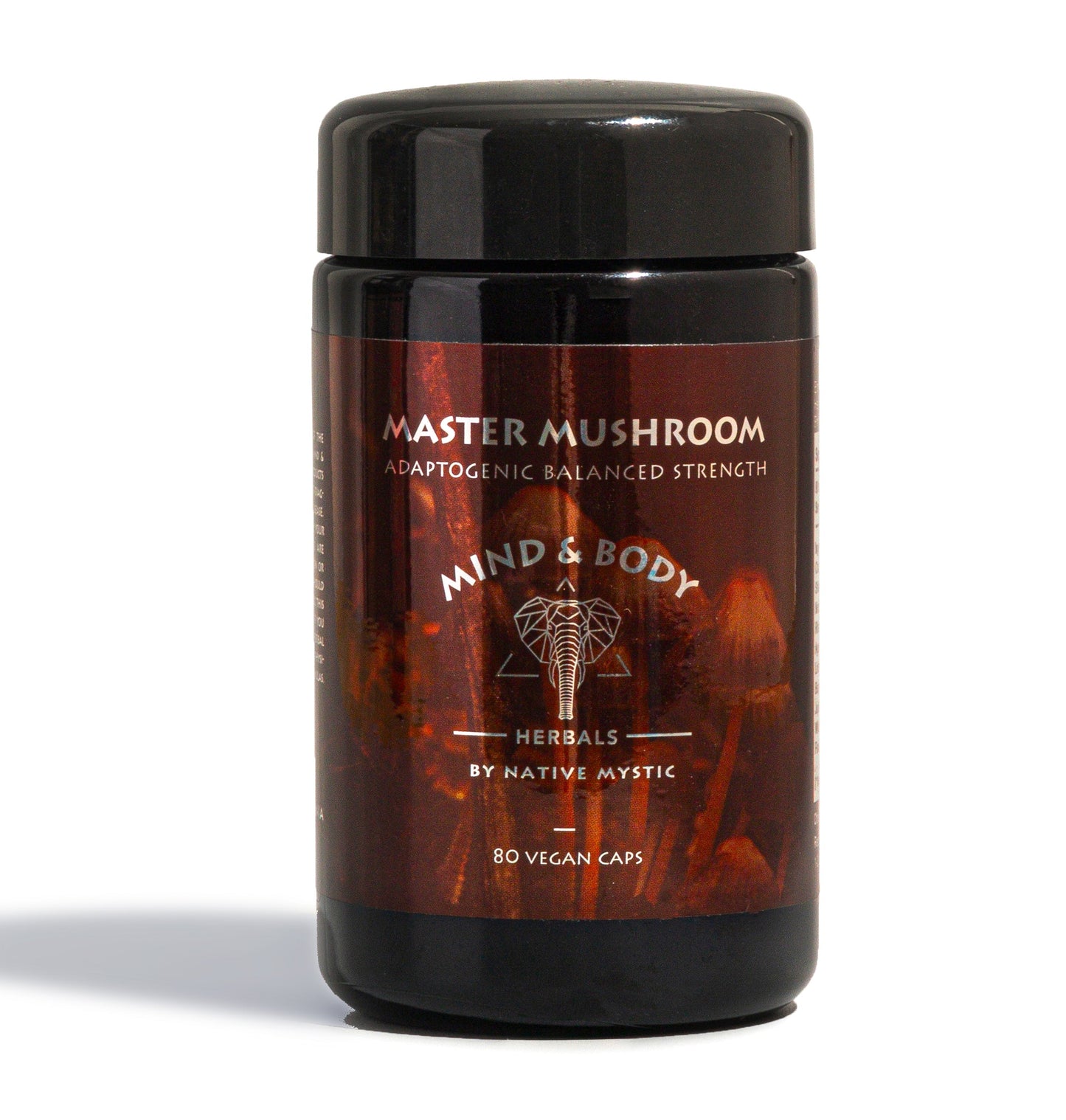 Master Mushroom - 20 Medicinal Mushrooms