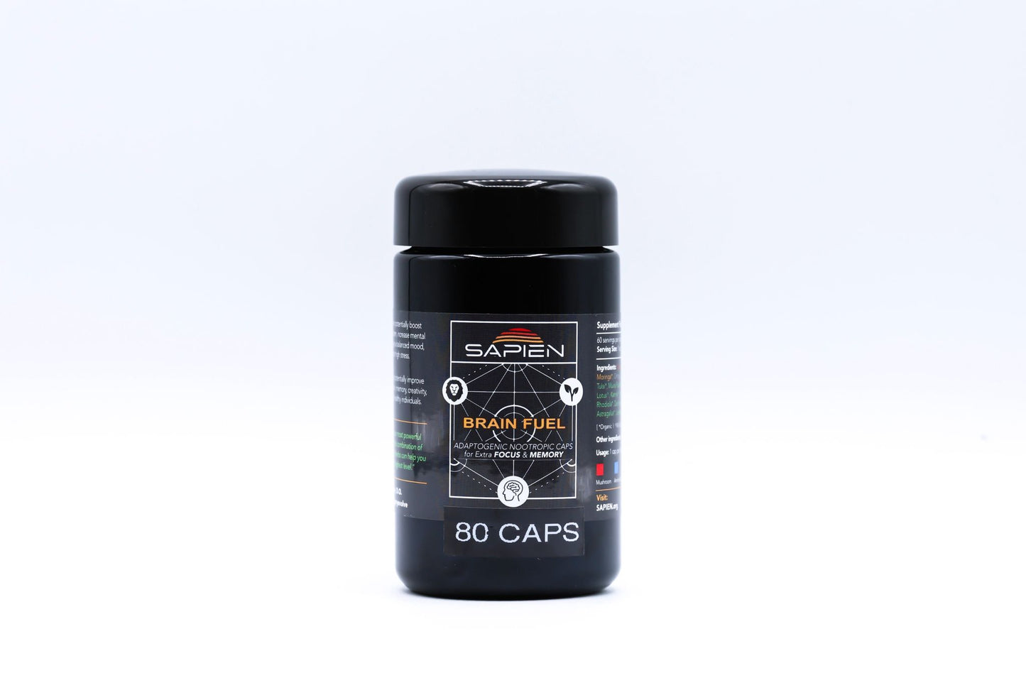 Brain Fuel - Focus & Memory