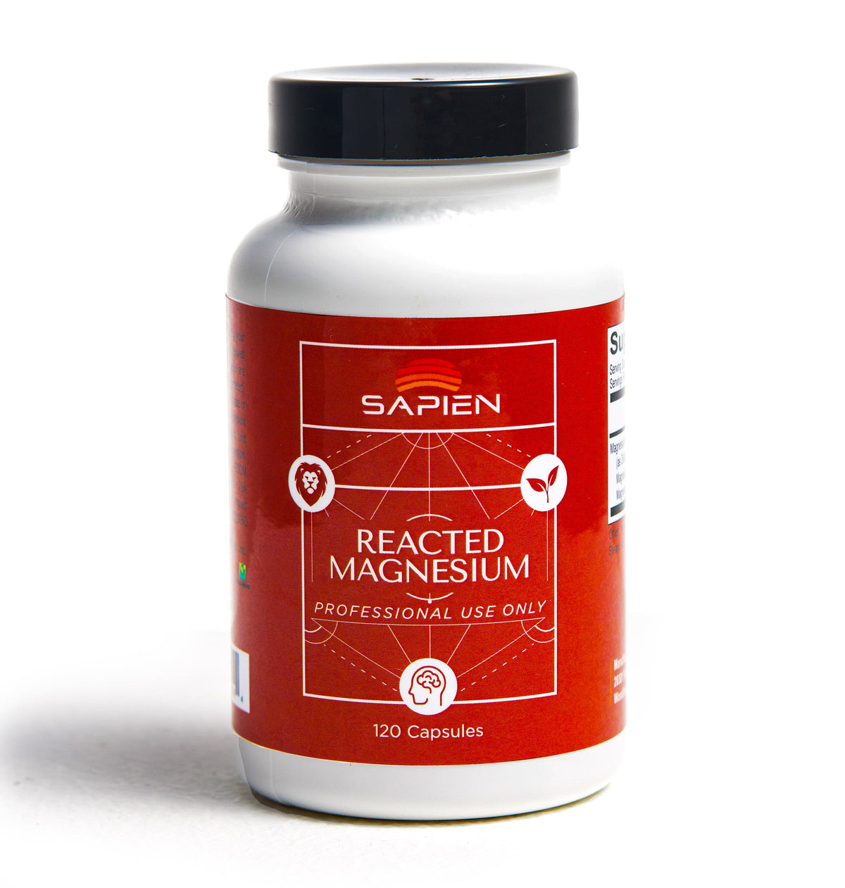 Magnesium Rsa Reacted Magnesium - Magnesium Salts – Evolve Healthcare