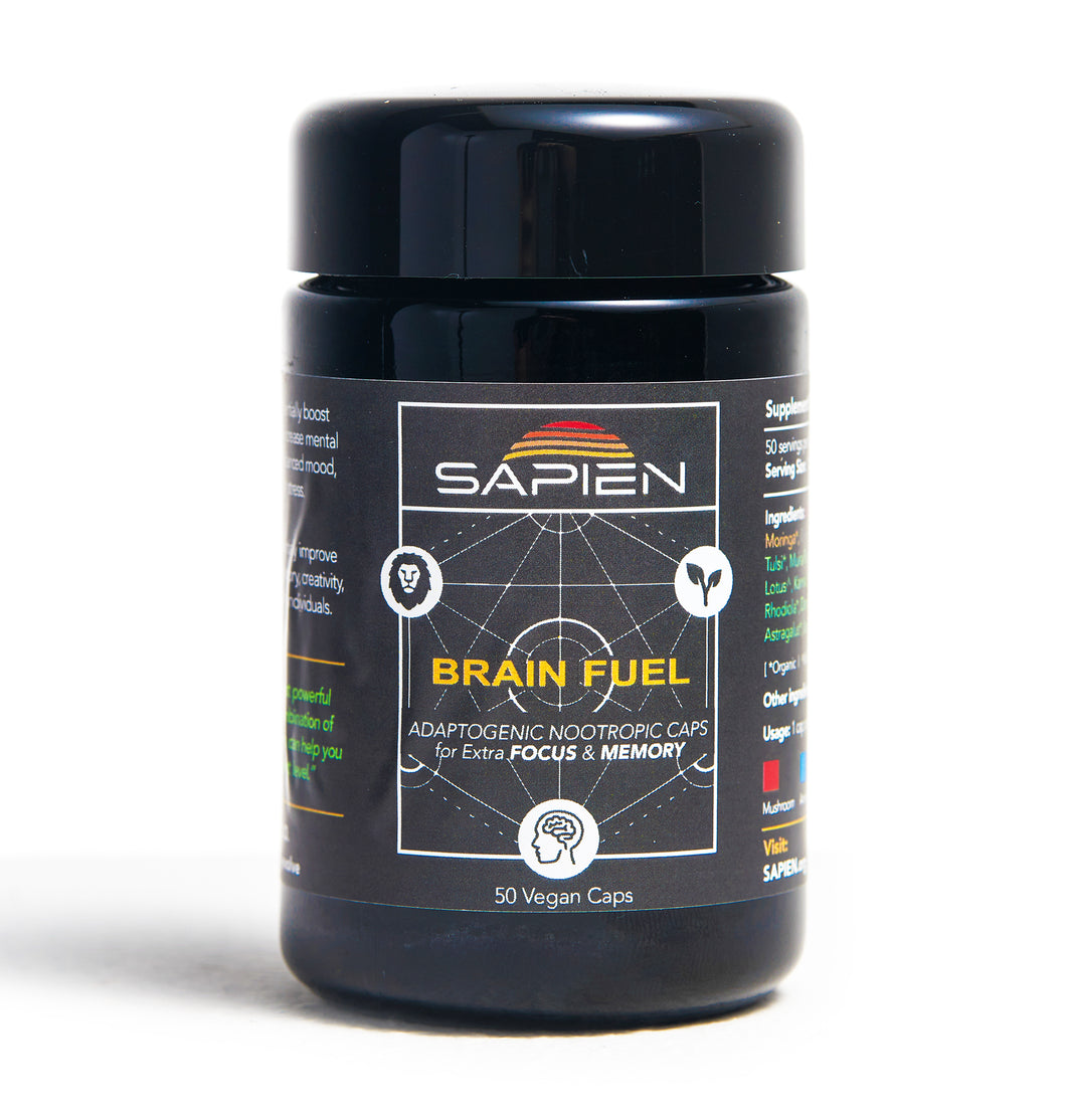 Brain Fuel - Focus & Memory